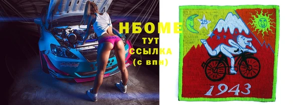 индика Медвежьегорск