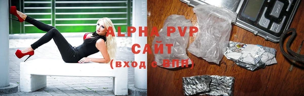 индика Медвежьегорск