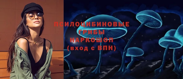 ГАЛЛЮЦИНОГЕННЫЕ ГРИБЫ Майский