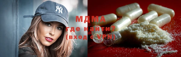 индика Медвежьегорск