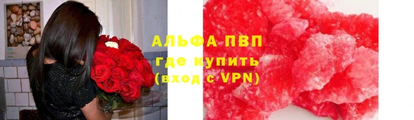 индика Медвежьегорск