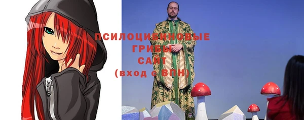 гидра Мегион