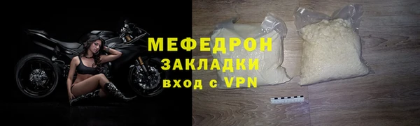 индика Медвежьегорск