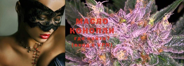 индика Медвежьегорск