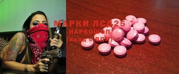 гидра Мегион