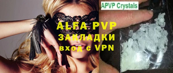 индика Медвежьегорск