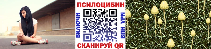 Псилоцибиновые грибы Magic Shrooms  Щёлкино 